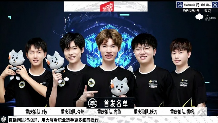 顶级篮球运