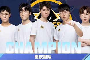 引入身价