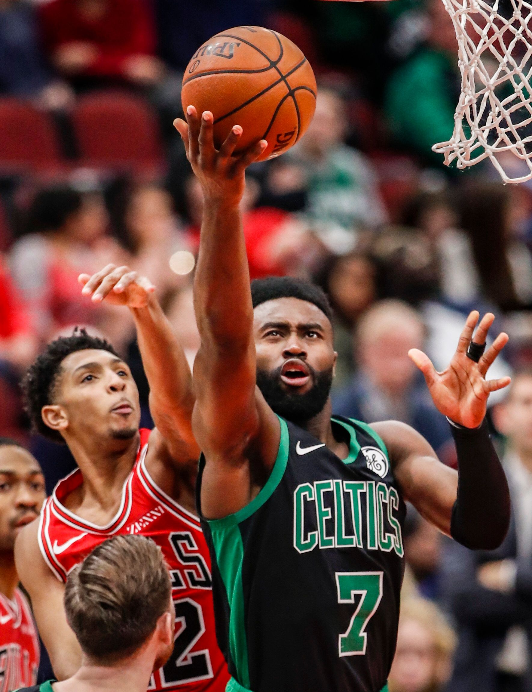 新人红利 新人红利