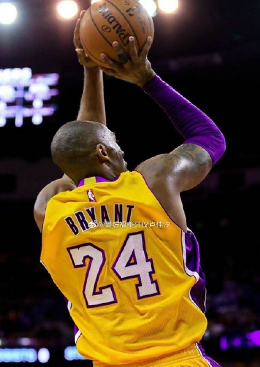 案例分析 案例分析