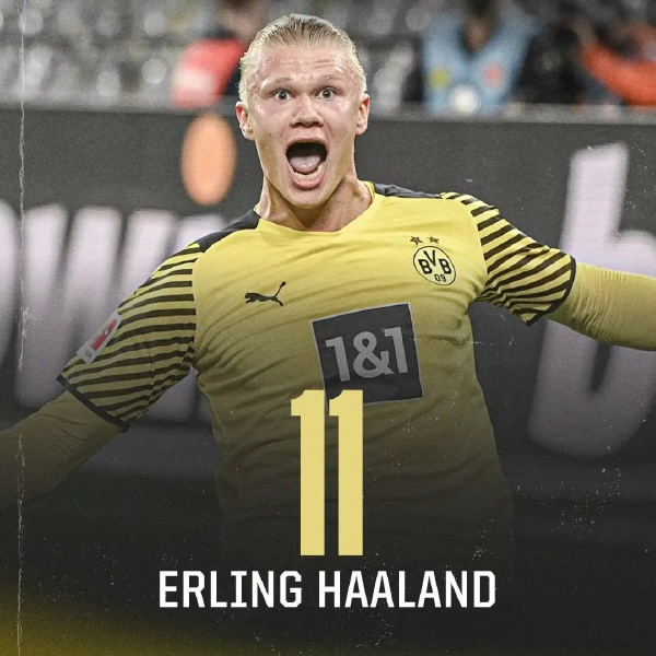 导致越防越 导致越防越